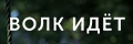 Волк идёт